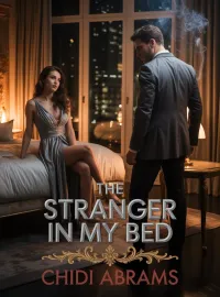 The Stranger In My Bed Novel Cover