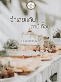ภาพปกนิยาย จำเลยแค้น สามีเถื่อน