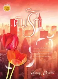 ภาพปกนิยาย ดันรัก