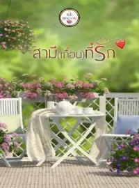 ภาพปกนิยาย สามีเถื่อนที่รัก