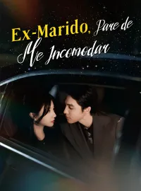 Ex-Marido, Pare de Me Incomodar