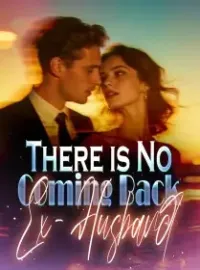 There is No Coming Back, Ex-Husband Novel Cover