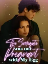 The Surrogate was not Pregnant with My Egg Novel Cover