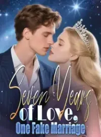 Seven Years of Love, One Fake Marriage Novel Cover