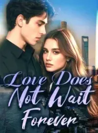 Love Does Not Wait Forever Novel Cover