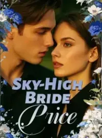Sky-High Bride Price Novel Cover