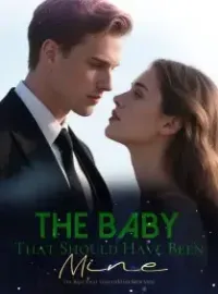 The Baby That Should Have Been Mine Novel Cover