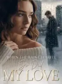 When the Rain Cleared, So Did My Love Novel Cover