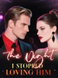 The Night I Stopped Loving Him Novel Cover