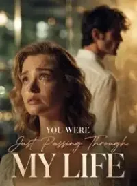 You Were Just Passing Through My Life Novel Cover