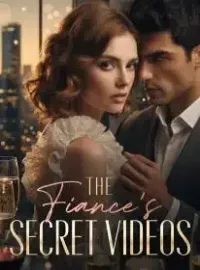The Fiance's Secret Videos Novel Cover