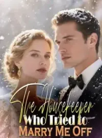 The Housekeeper Who Tried to Marry Me Off Novel Cover