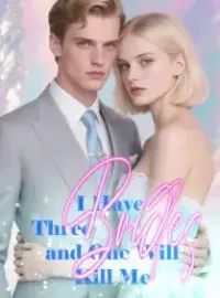 I Have Three Brides, and One Will Kill Me Novel Cover