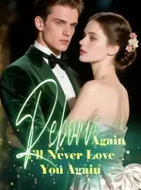Reborn Again, I’ll Never Love You Again Novel Cover