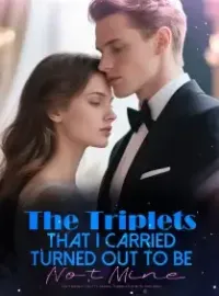 The Triplets That I Carried Turned Out to Be Not Mine Novel Cover