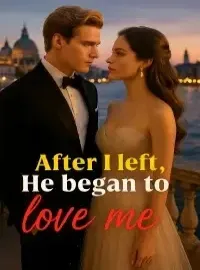 After I left, He began to love me. Novel Cover