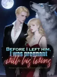 Before I left him, I was pregnant with his twins Novel Cover