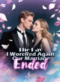 The Day I Wore Red Again, Our Marriage Ended Novel Cover