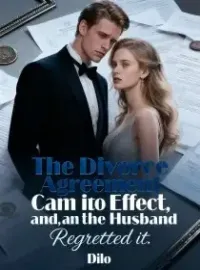 The Divorce Agreement Came Into Effect, and the Husband Regretted it Novel Cover
