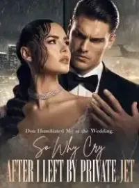 Don Humiliated Me at the Wedding, So Why Cry After I Left by Private Jet Novel Cover