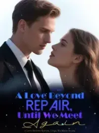 A Love Beyond Repair, Until We Meet Again Novel Cover