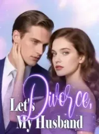 Let's Divorce, My Husband Novel Cover