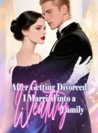 After Getting Divorced, I Married into a Wealthy Family Novel Cover