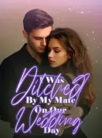 I Was Ditched By My Mate On Our Wedding Day Novel Cover