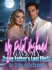 My Pilot Husband Gave My Dying Father's Last Flight to His Mistress Novel Cover