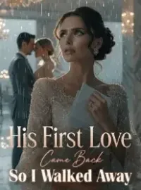 His First Love Came Back , So I Walked Away Novel Cover