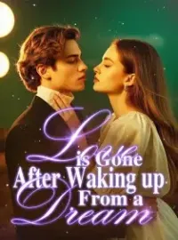 Love is Gone After Waking up From a Dream Novel Cover