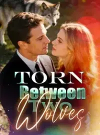 Torn Between Two Wolves Novel Cover