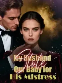 My Husband Stole Our Baby for His Mistress Novel Cover