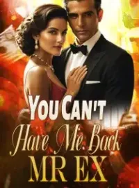 You Can't Have Me Back, Mr Ex Novel Cover