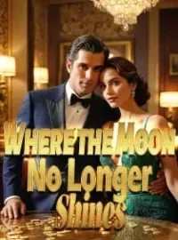 Where the Moon No Longer Shines Novel Cover
