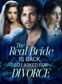 The Real Bride is Back, So I asked for Divorce Novel Cover