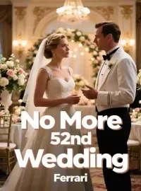 No More 52nd Wedding Novel Cover