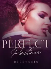 Sampul Novel PERFECT PARTNER