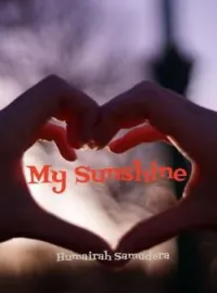 Sampul Novel My Sunshine 