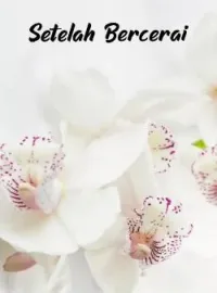 Sampul Novel Setelah Bercerai