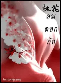 ภาพปกนิยาย คมดอกท้อ