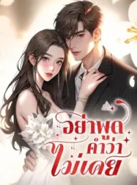 ภาพปกนิยาย อย่าพูดคำว่าไม่เคย