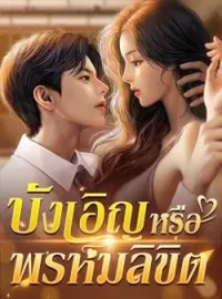 ภาพปกนิยาย บังเอิญหรือพรหมลิขิต