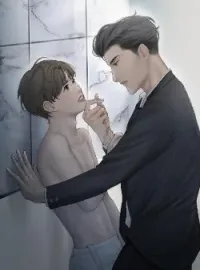 ภาพปกนิยาย เมียบังหน้า