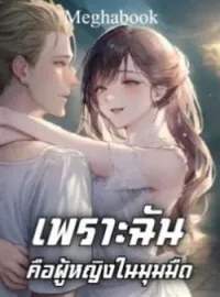 ภาพปกนิยาย เพราะฉันคือผู้หญิงในมุมมืด 