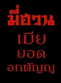 ภาพปกนิยาย มี่ฮวน เมียยอดอกตัญญู