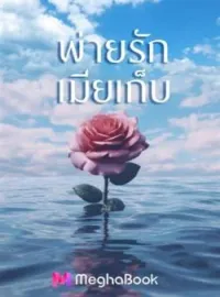 ภาพปกนิยาย พ่ายรักเมียเก็บ