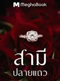 ภาพปกนิยาย สามีปลายแถว 