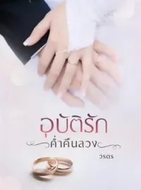 ภาพปกนิยาย อุบัติรักค่ำคืนลวง