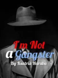 Sampul Novel I'm Not a Gangster